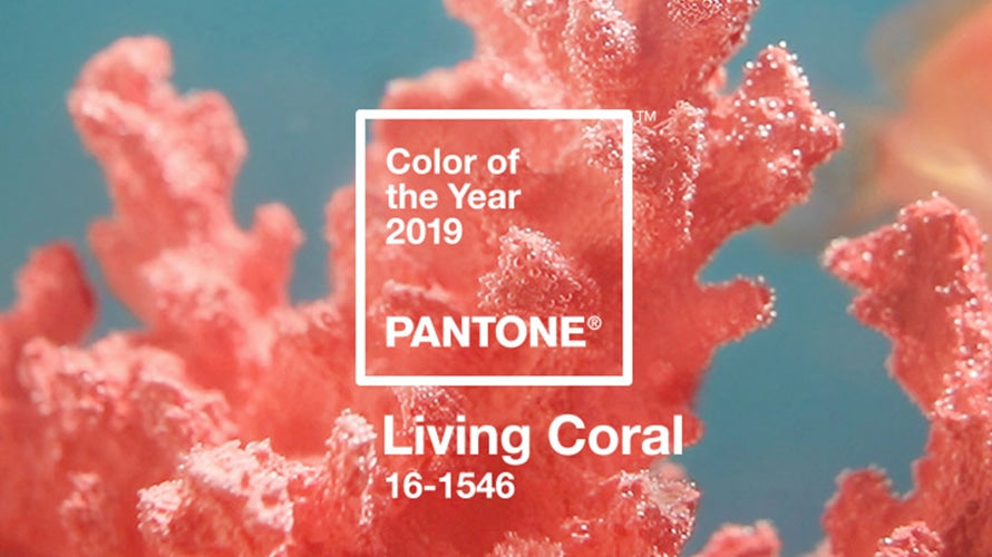 Pantone’s Top 18 Spring 2019 Colors from NYFW & LFW